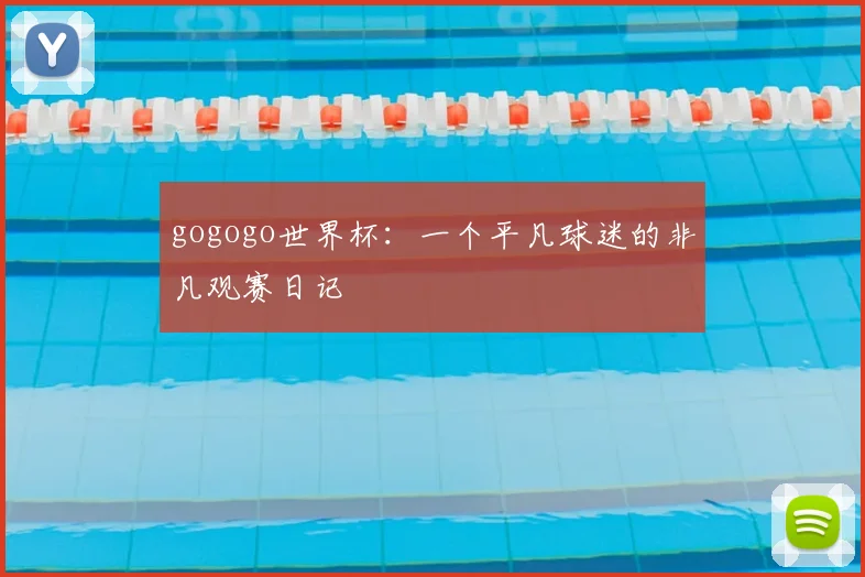gogogo世界杯:一个平凡球迷的非凡观赛日记