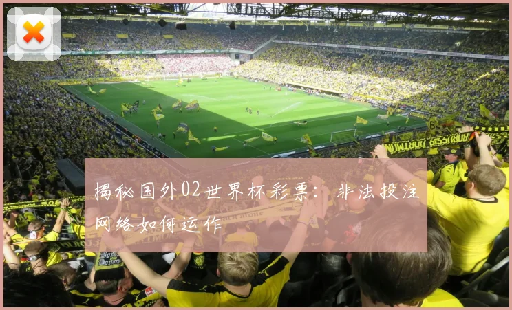 揭秘国外02世界杯彩票：非法投注网络如何运作