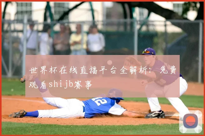 世界杯在线直播平台全解析：免费观看shijb赛事