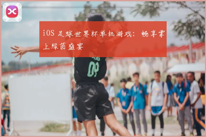 iOS 足球世界杯单机游戏:畅享掌上绿茵盛宴