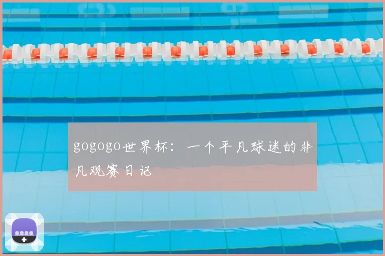 gogogo世界杯:一个平凡球迷的非凡观赛日记